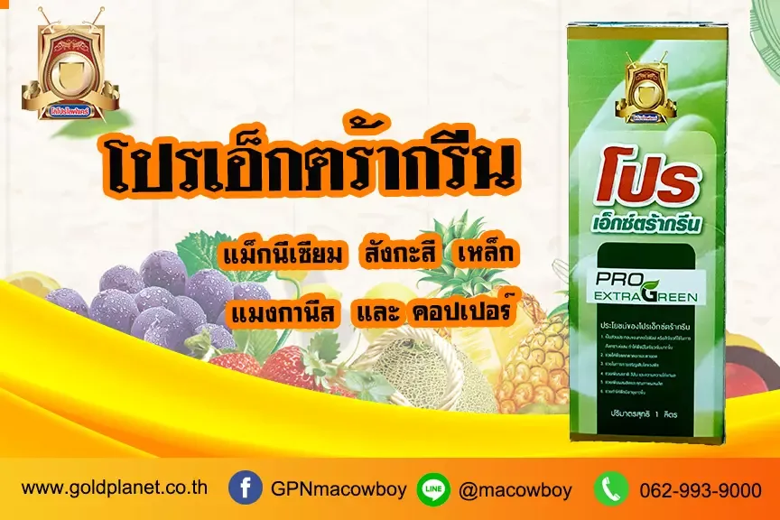 โปรเอ็กตร้ากรีน