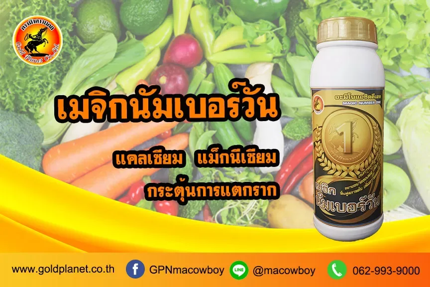 เมจิกนัมเบอร์วัน