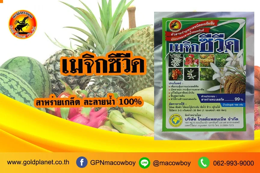เมจิกซีวีด