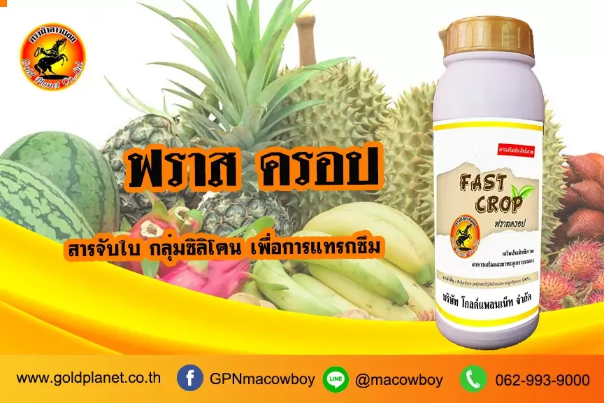 ฟาสครอป