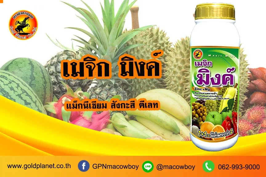 เมจิกมิงค์