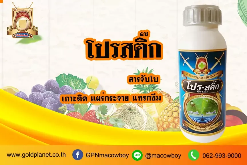 โปรสติ๊ก