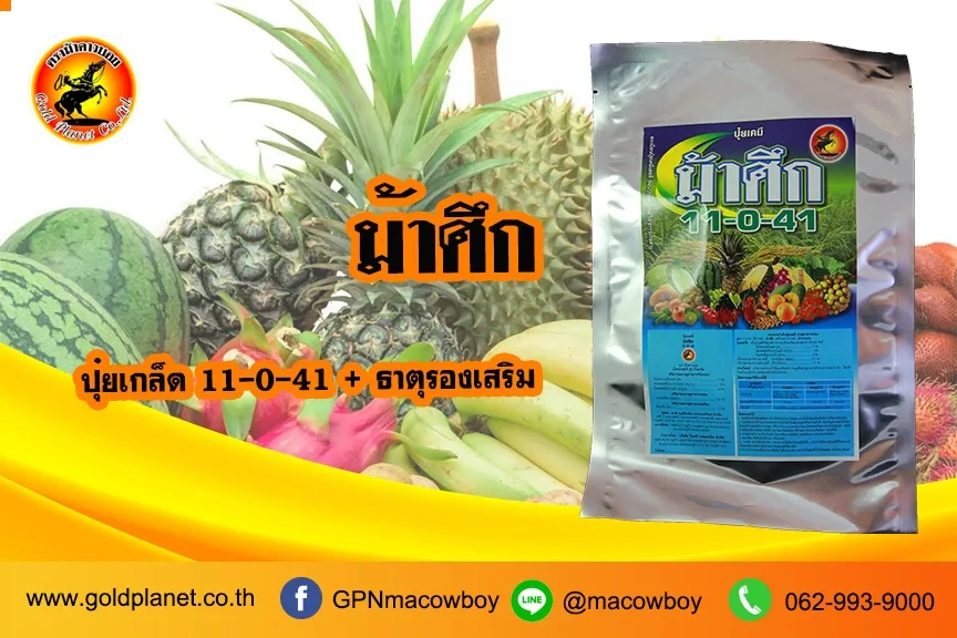 ม้าศึก