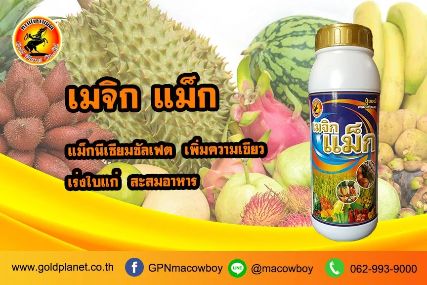 เมจิกแม็ก