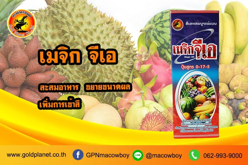 เมจิก จีเอ