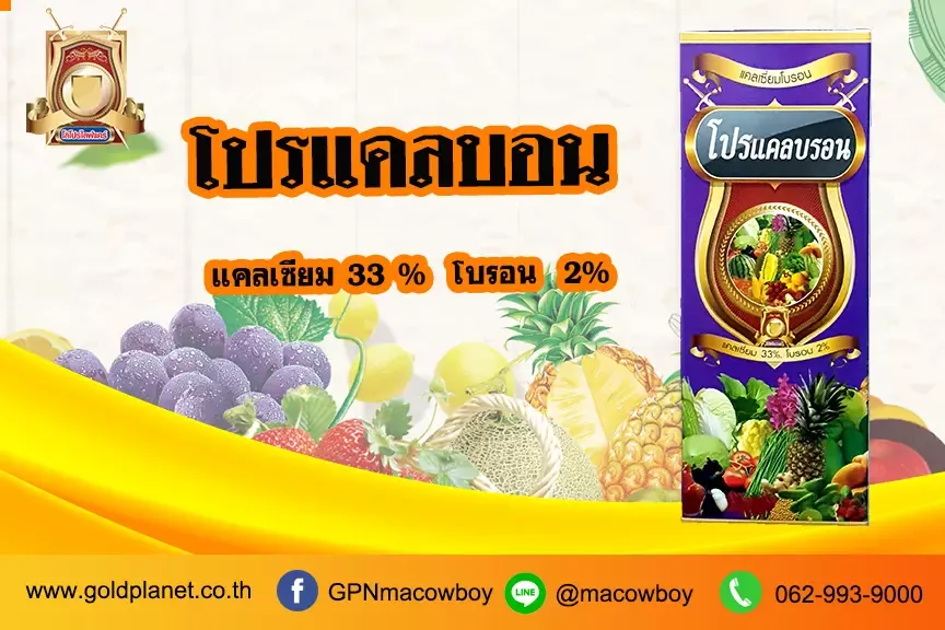 โปรแคลบอน