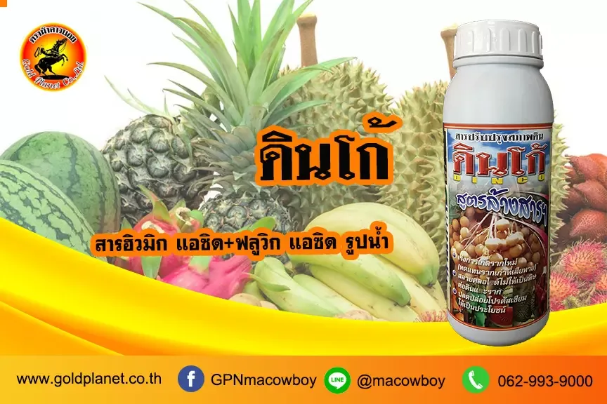 ดินโก้