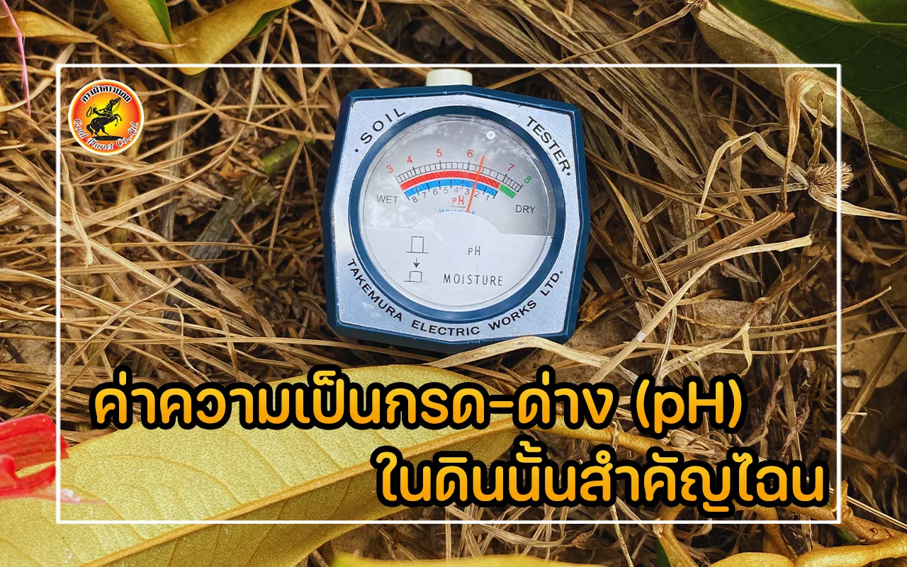 ค่าความเป็นกรด-ด่าง (pH) ในดินนั้นสำคัญไฉน