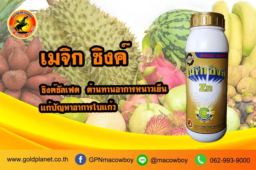 เมจิกซิงค์