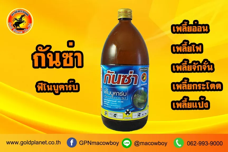 กันซ่า (ฟีโนบูคาร์บ)