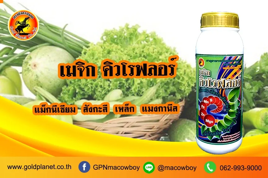 เมจิกคิวโรฟลอร์