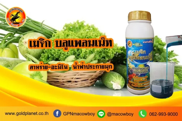 เมจิกบลูแพลนเน็ท