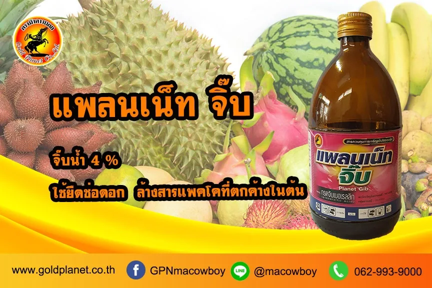 แพลนเน็ท จิ๊บ ขนาด 500 ซีซี