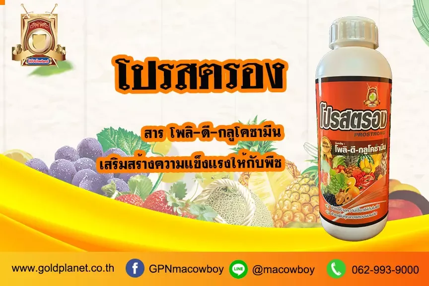 โปรสตรอง
