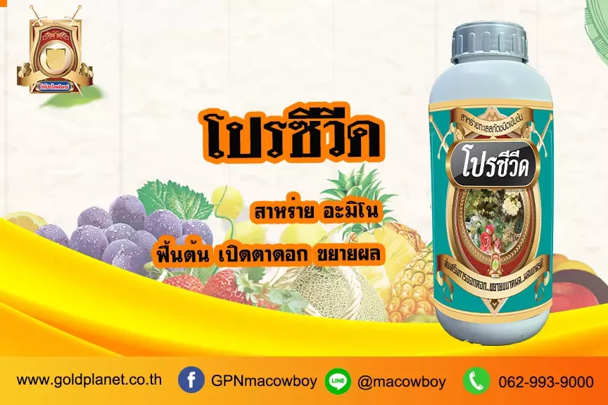 โปรซีวีด