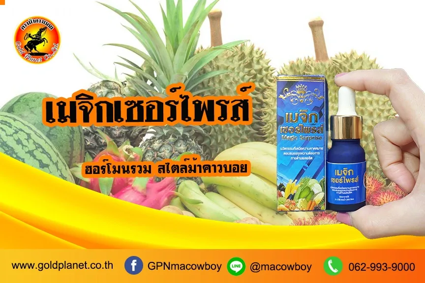 เมจิกเซอร์ไพรส์
