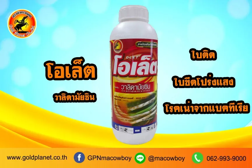 โอเล็ต (วาริดามัยซิน)
