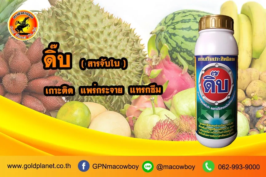ดิ๊บ