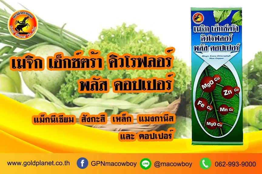 เมจิกเอ็กซ์ตร้าคิวโรฟลอร์ พลัสคอปเปอร์