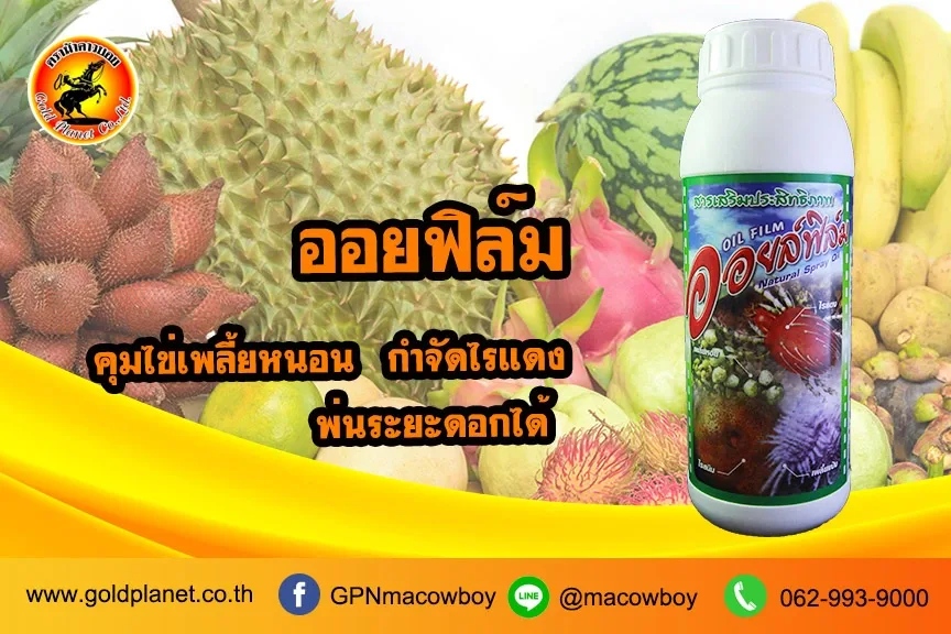 ออยฟิล์ม
