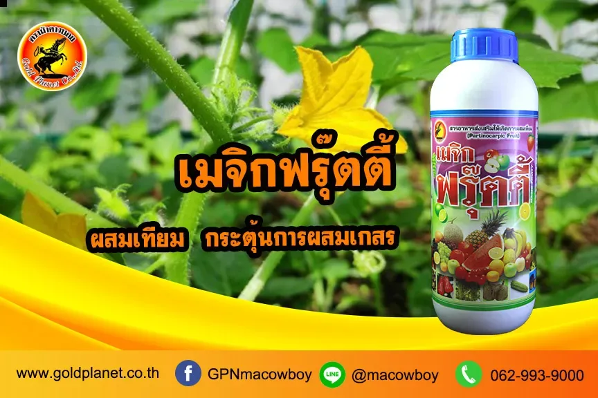 เมจิกฟรุ๊ตตี้