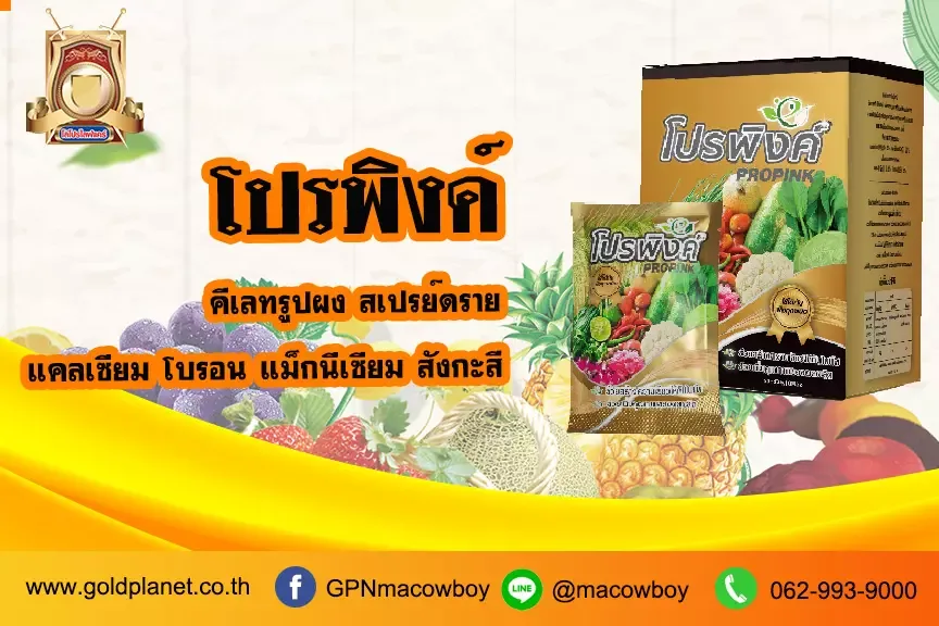 โปรพิงค์