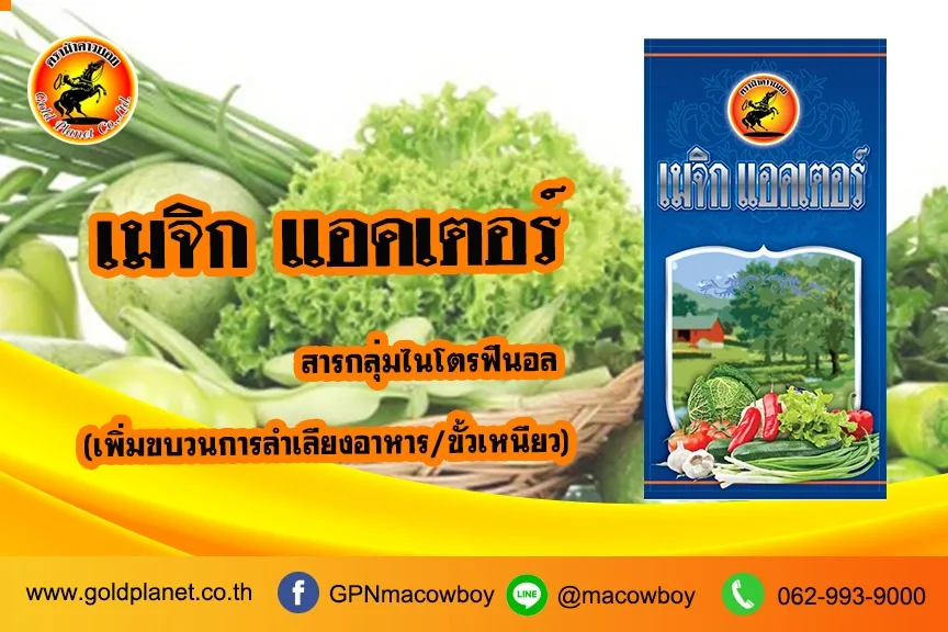 เมจิกแอคเตอร์