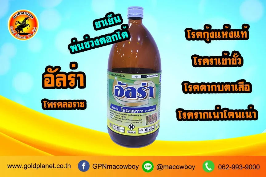 อัลร่า (โพรคลอราช)