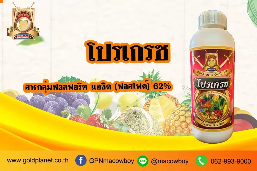 โปรเกรซ